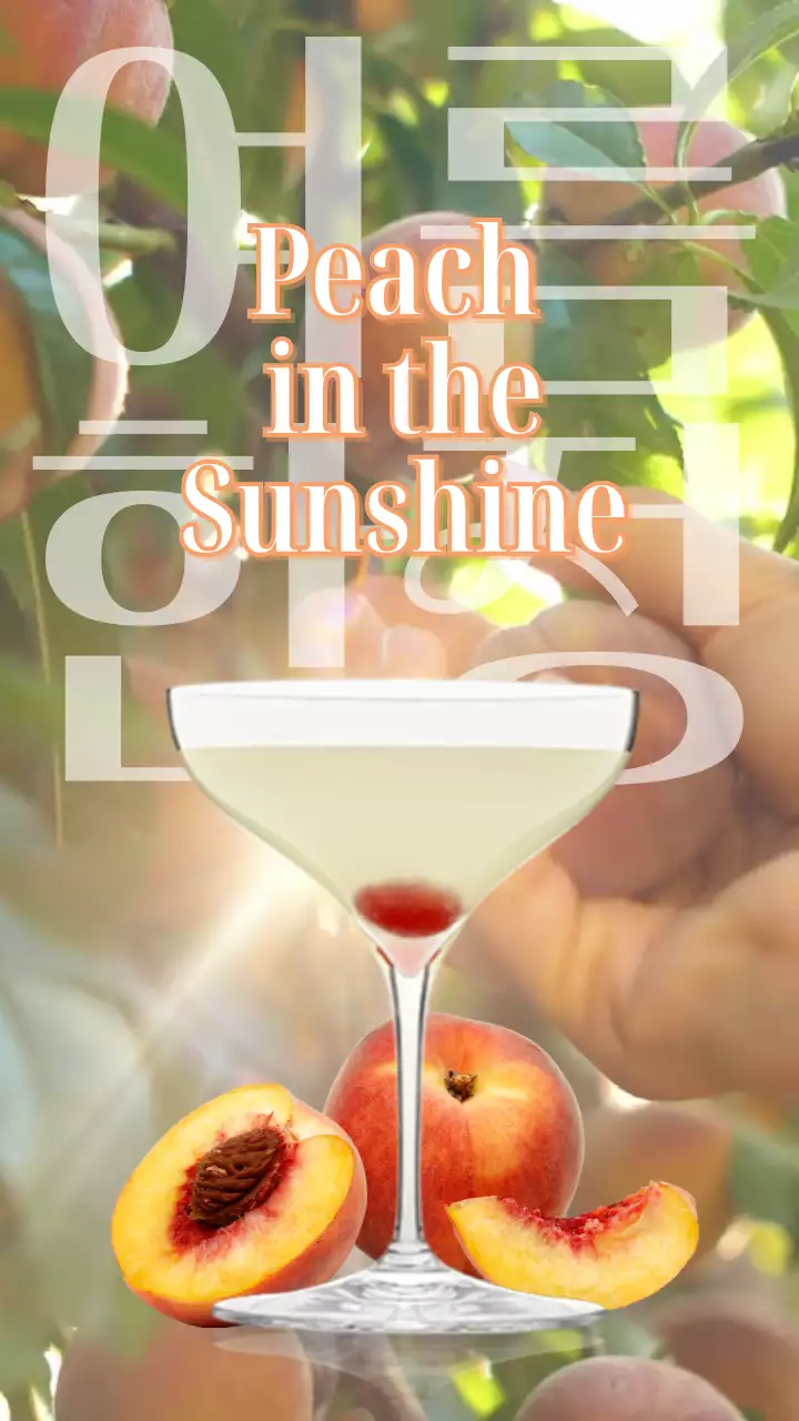 복숭아나무에서 열매를 따는 배경의 화사한 느낌의 여름한정 복숭아 칵테일 음료 홍보물