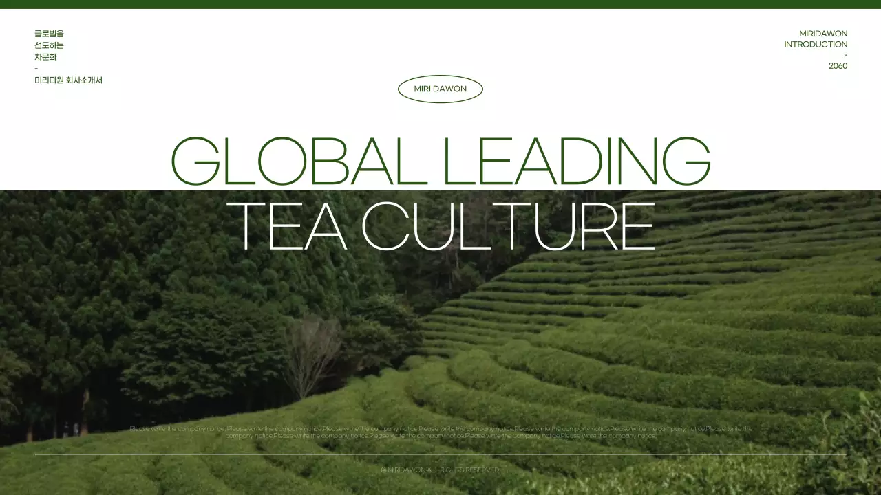 녹색의 사진과 타이포를 이용한 깔끔한 전통차 회사소개서