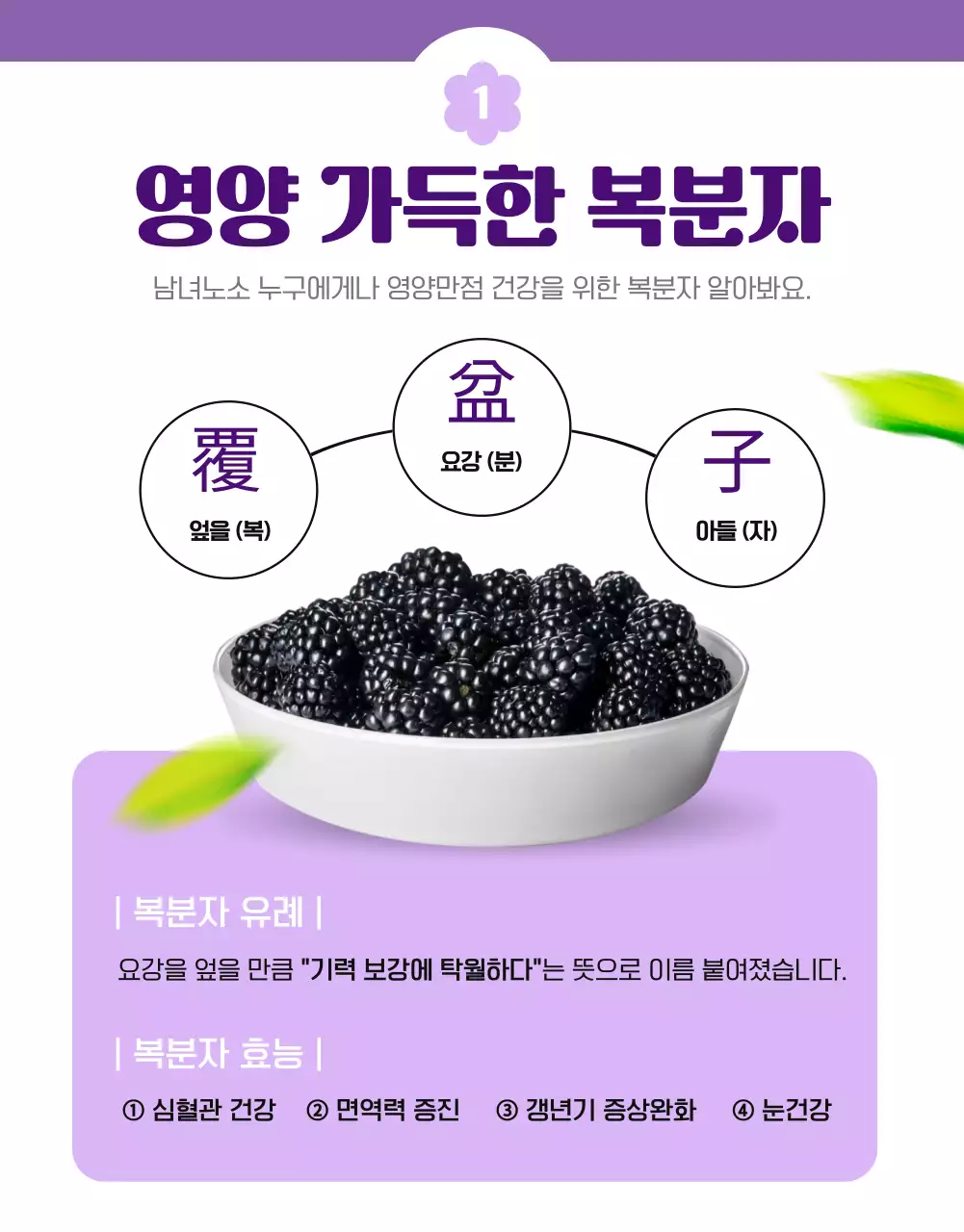 연보라색과 흰색의 심플하고 아기자기한 복분자