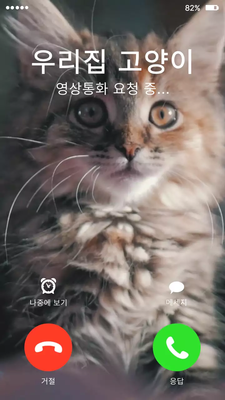 빨간색과 초록색의 아이폰 영상통화 밈 테마 