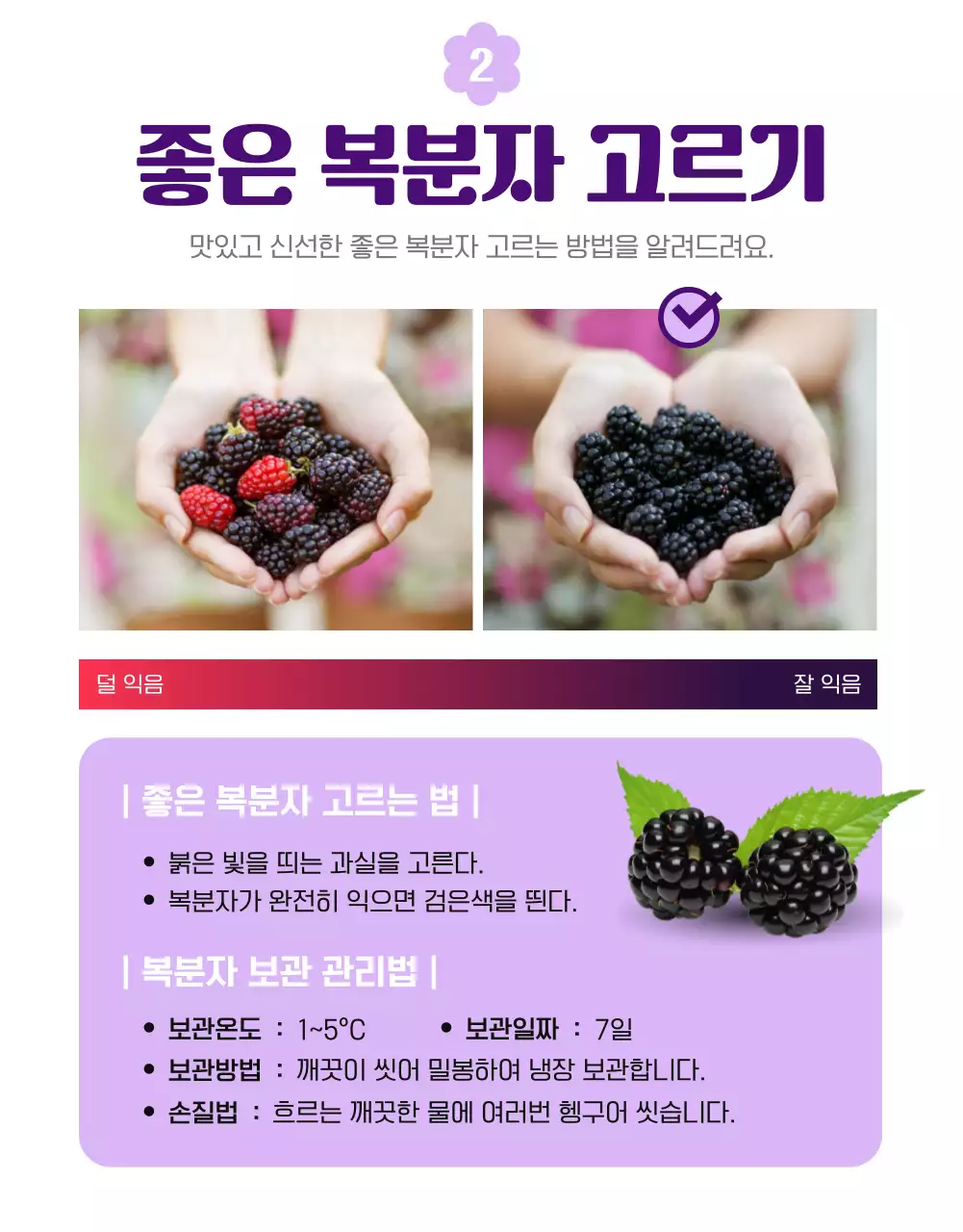 연보라색과 흰색의 심플하고 아기자기한 복분자