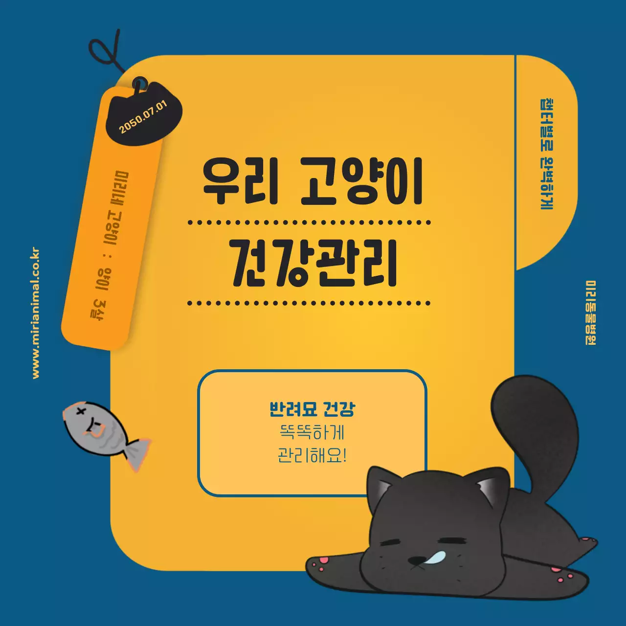 노란색의 건강 기록지가 포인트인 반려묘 건강관리 정보