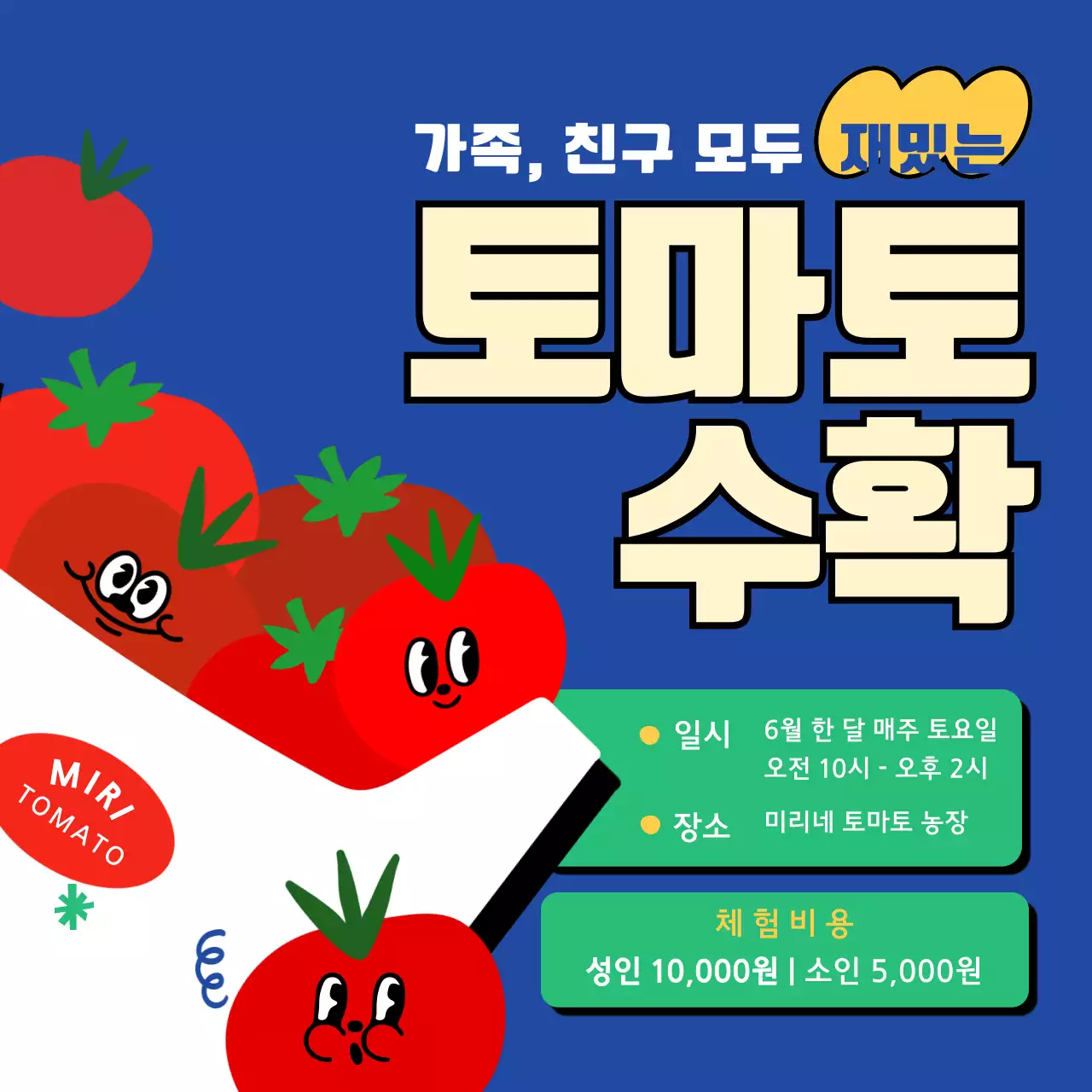 귀여운 일러스트의 파란색 배경의 빨간 토마토 수확 정보