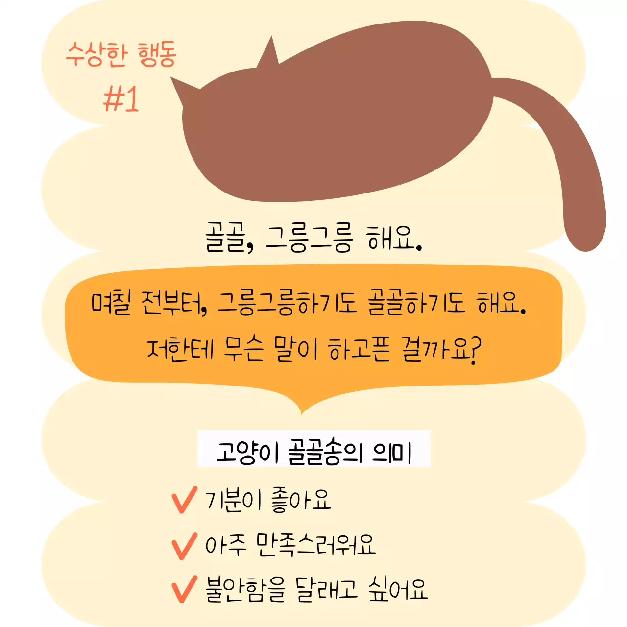 브라운과 노랑의 귀여운 반려묘 언어 이야기 