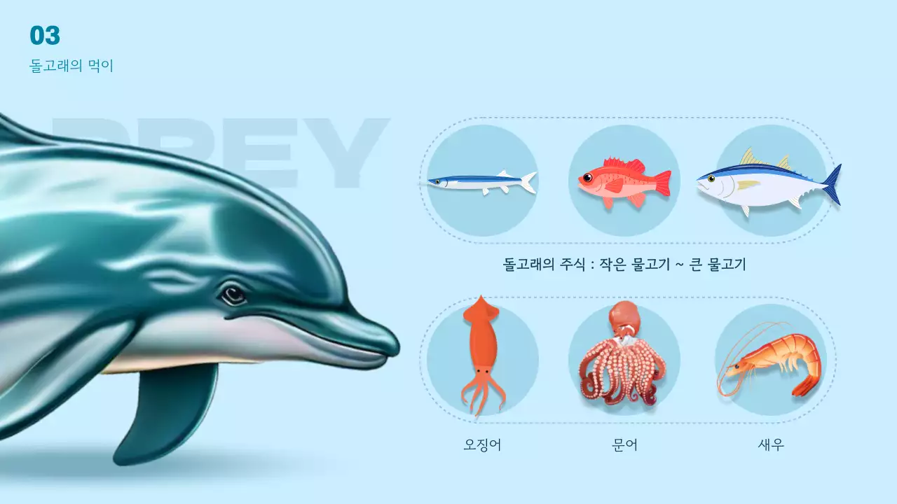 파란색 바다 테마의 다이내믹한 3d 돌고래의 세계