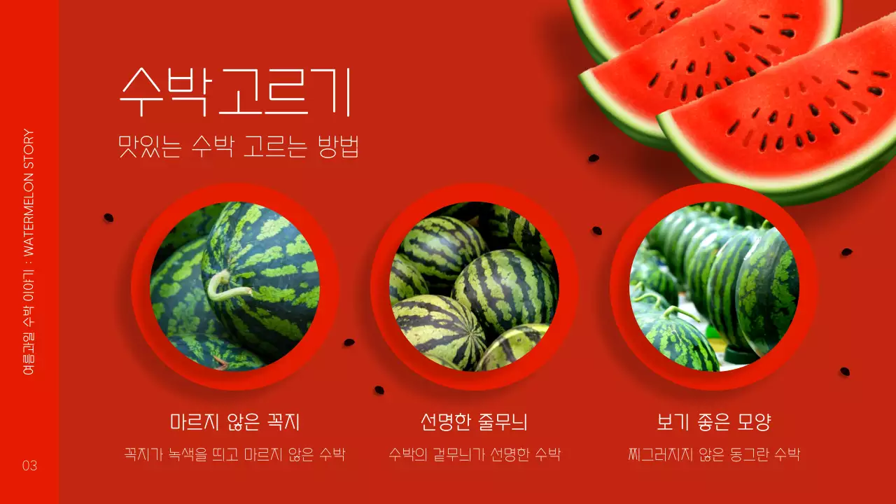 빨강과 초록색의 미니멀한 수박 농장 체험 홍보