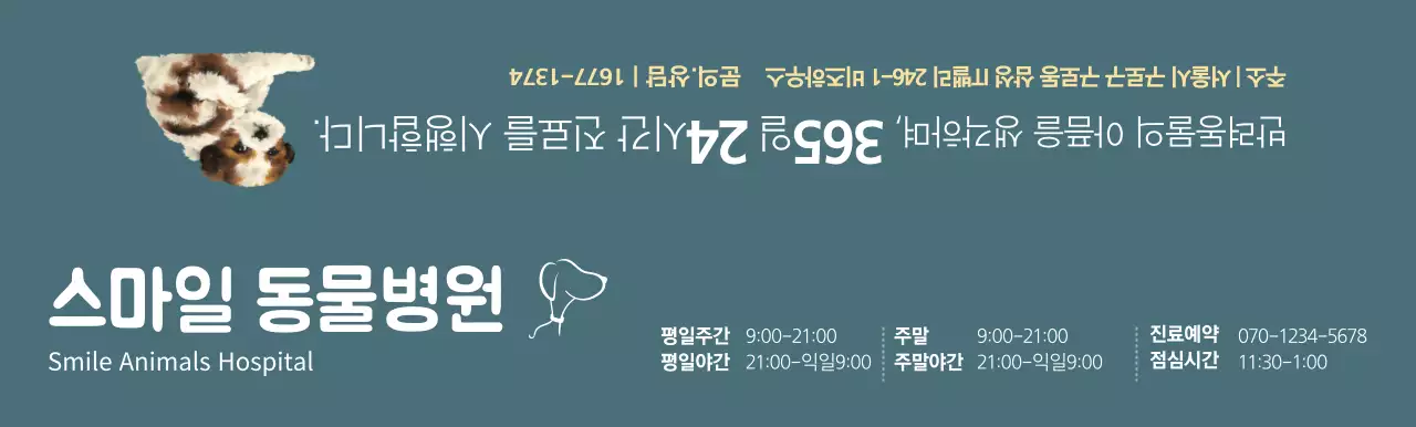 청록색의 동물병원 진료 시간표 컨셉