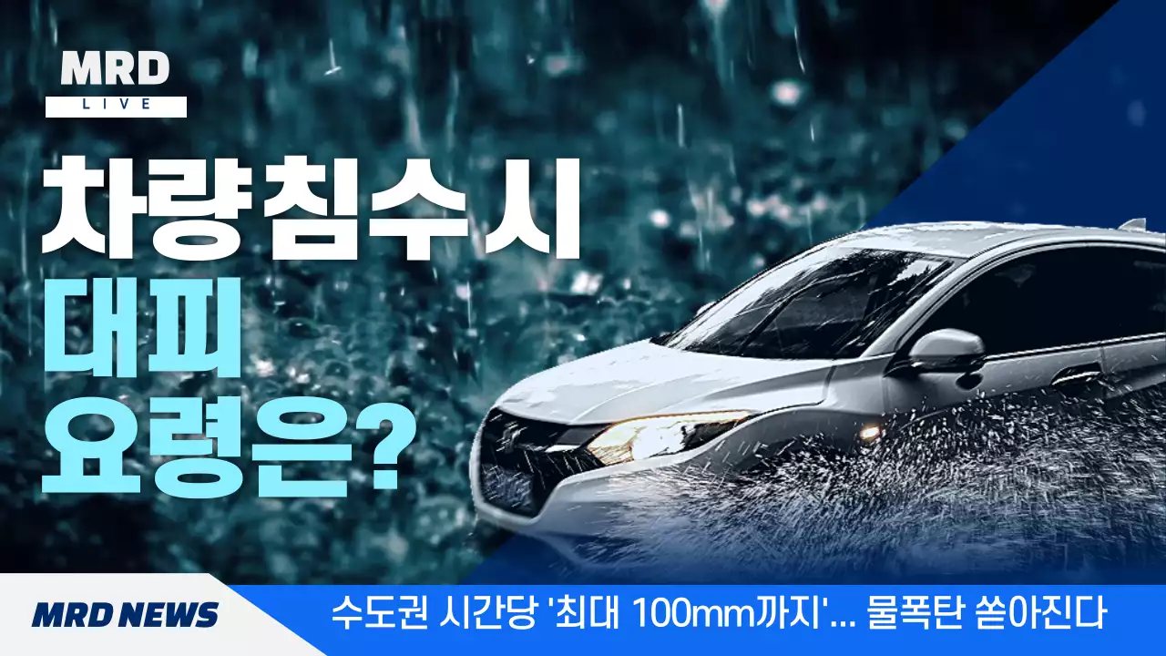 파란색과 흰색의 뉴스 컨셉 장마철 차량 침수 대피 요령
