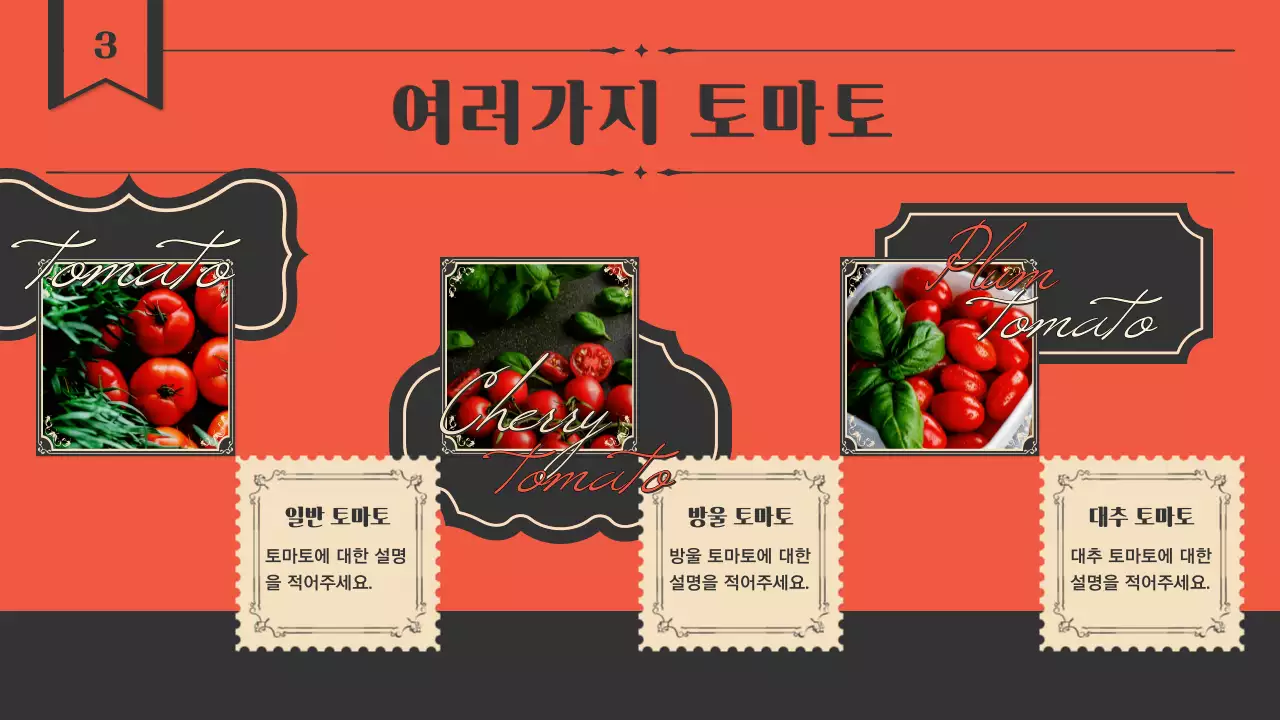 주황색과 남색의 빈티지 라벨 컨셉의 토마토 소개