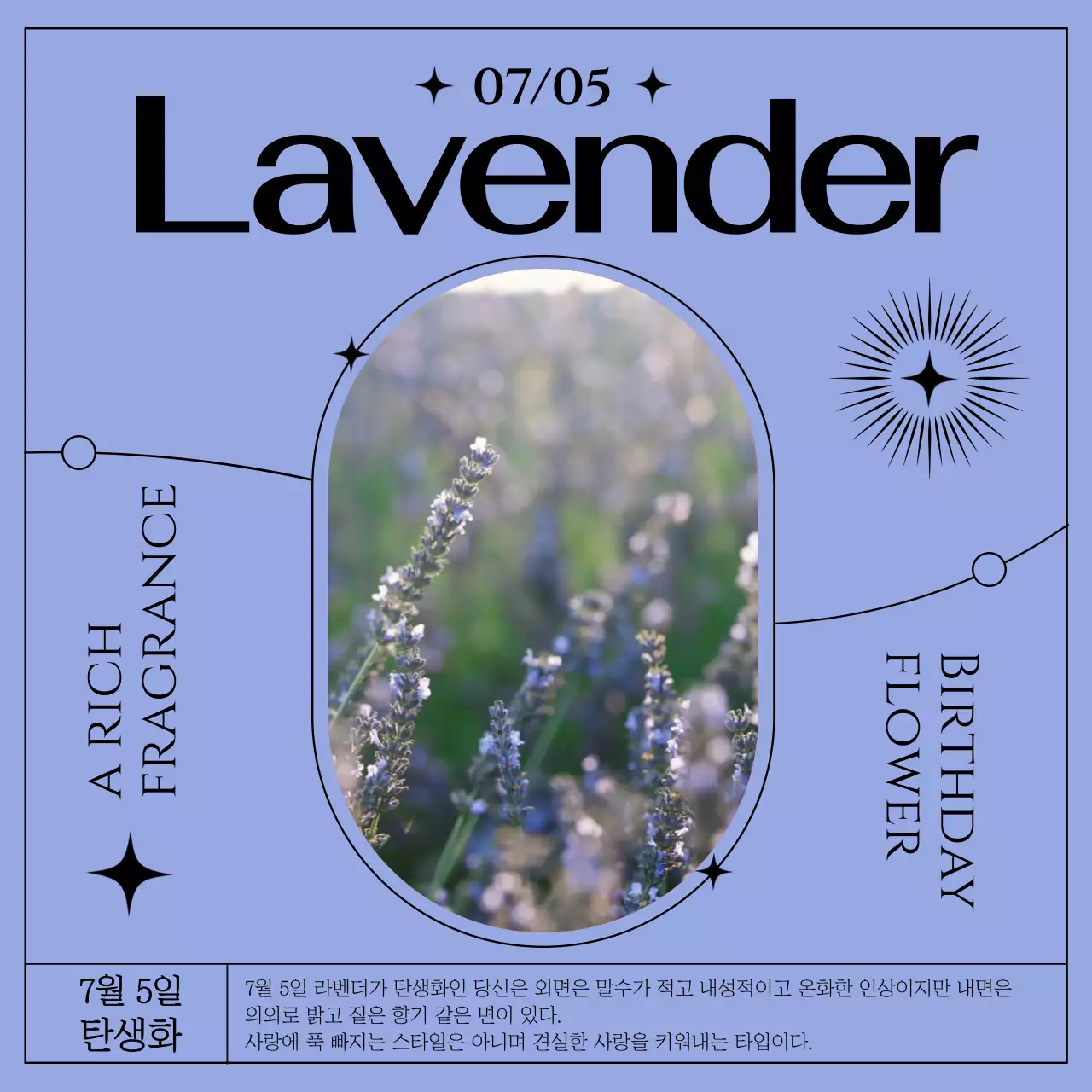 연보라컬러의 천문학컨셉의 라벤더 탄생화 소개