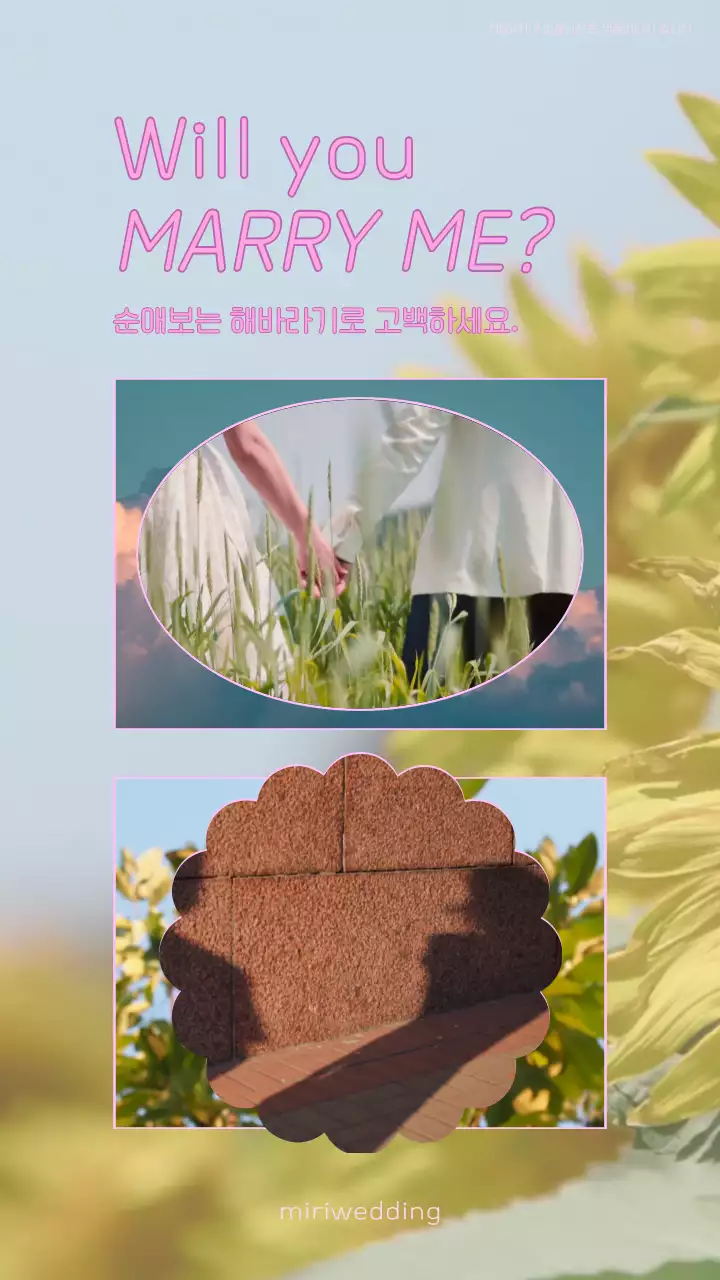 분홍색과 노란색 해바라기 영상이 있는 로맨틱한 꽃집 홍보