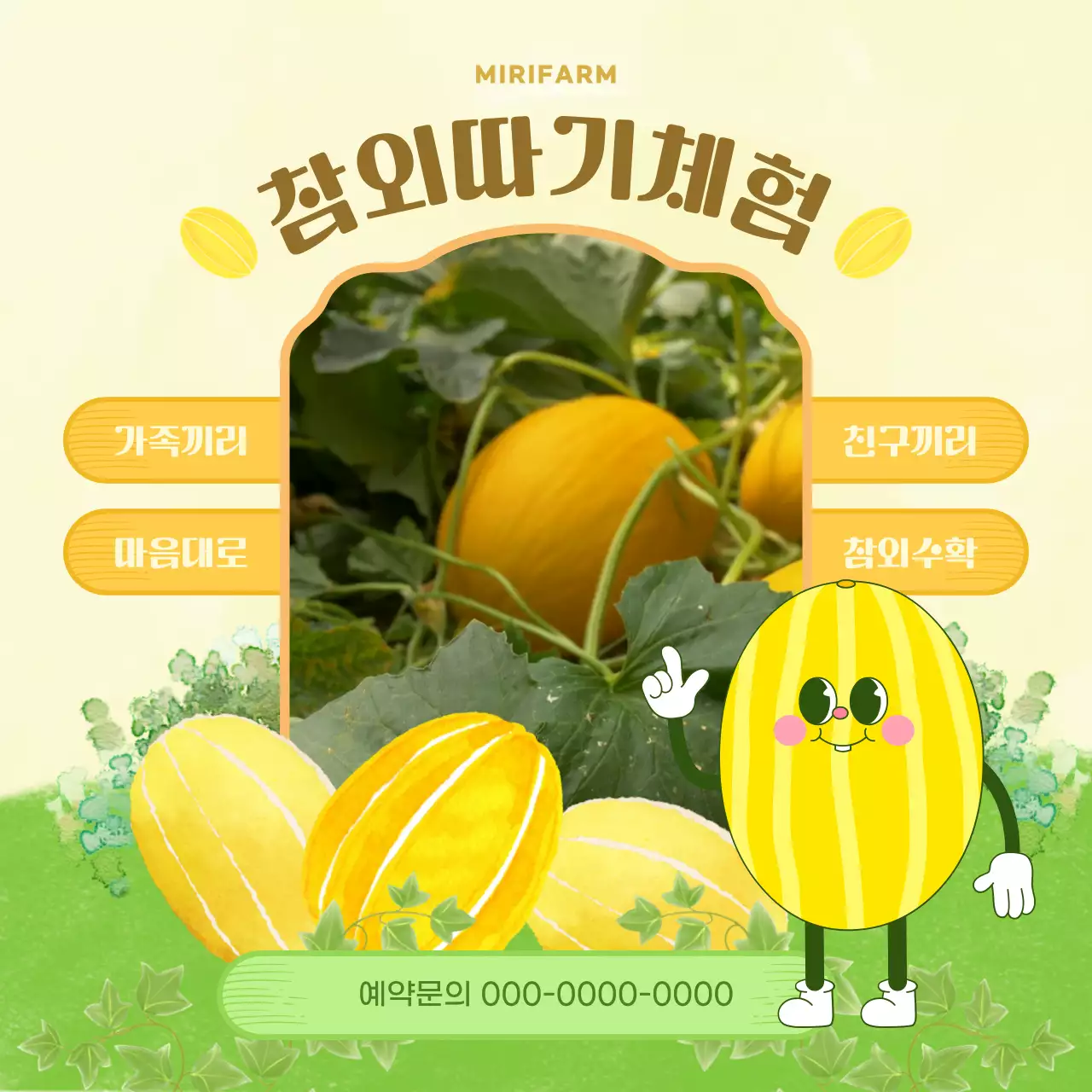 노란색과 연두색의 참외 따기 체험