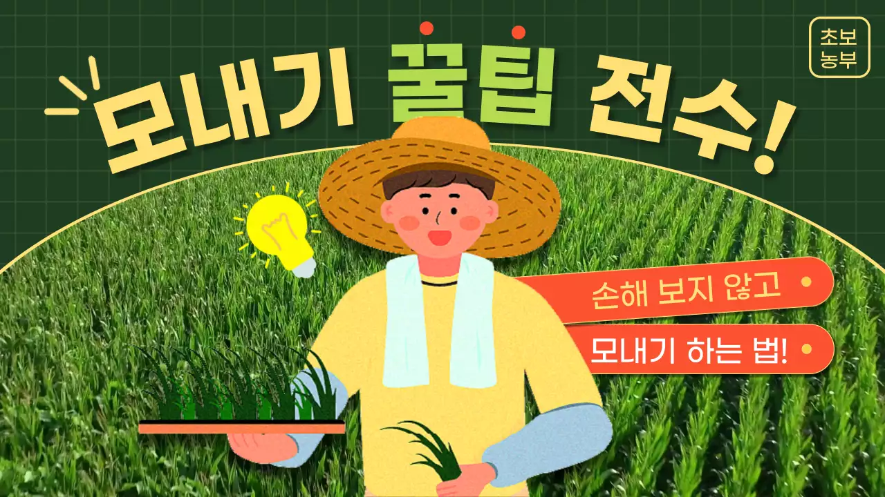 초록색과 노란색의 농부 캐릭터가 있는 모내기 정보
