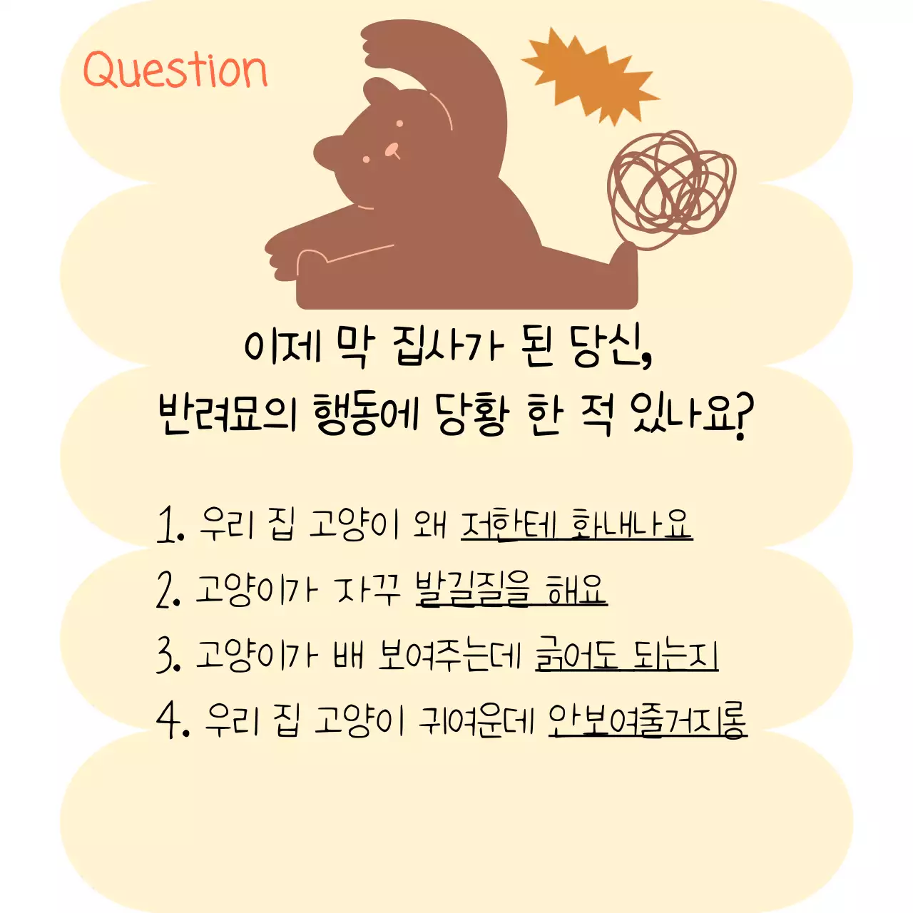 브라운과 노랑의 귀여운 반려묘 언어 이야기 