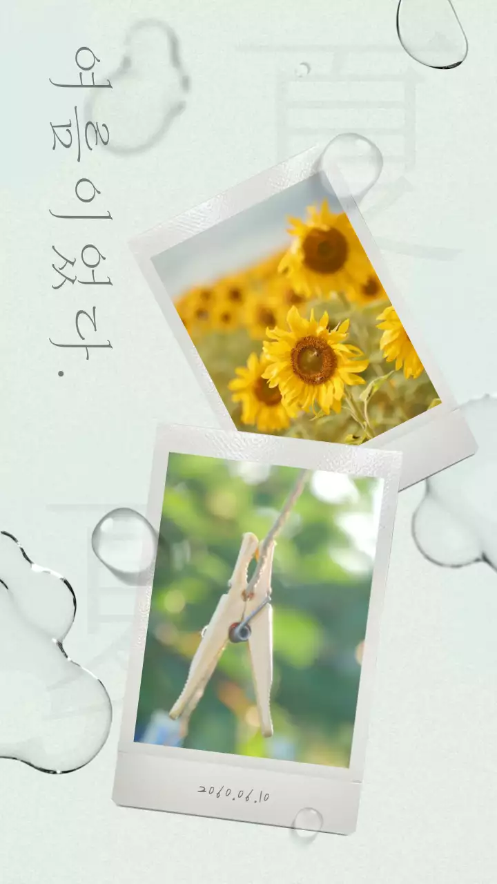 물방울이 맺힌 폴라로이드 여름 기록