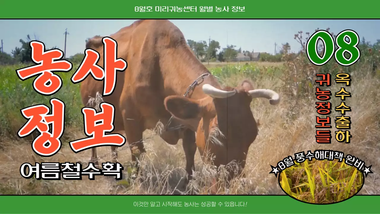 초록색과 빨간색의 뉴레트로 컨셉 농사 정보