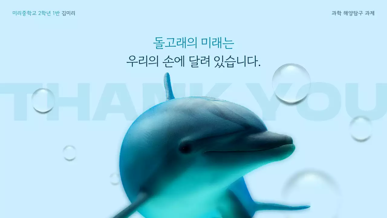 파란색 바다 테마의 다이내믹한 3d 돌고래의 세계