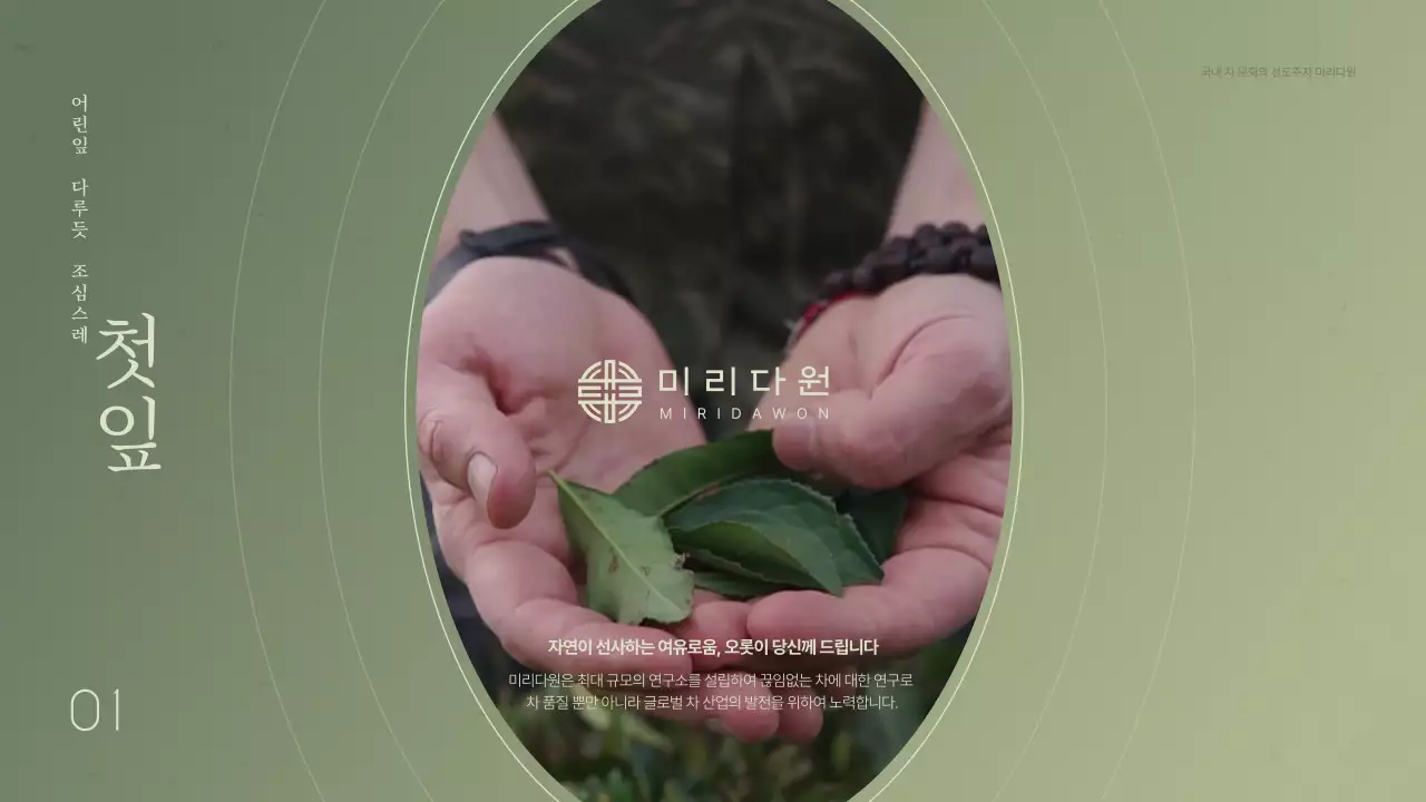 파스텔색상의 은은한 그라데이션을 활용한 전통차 농업회사소개서