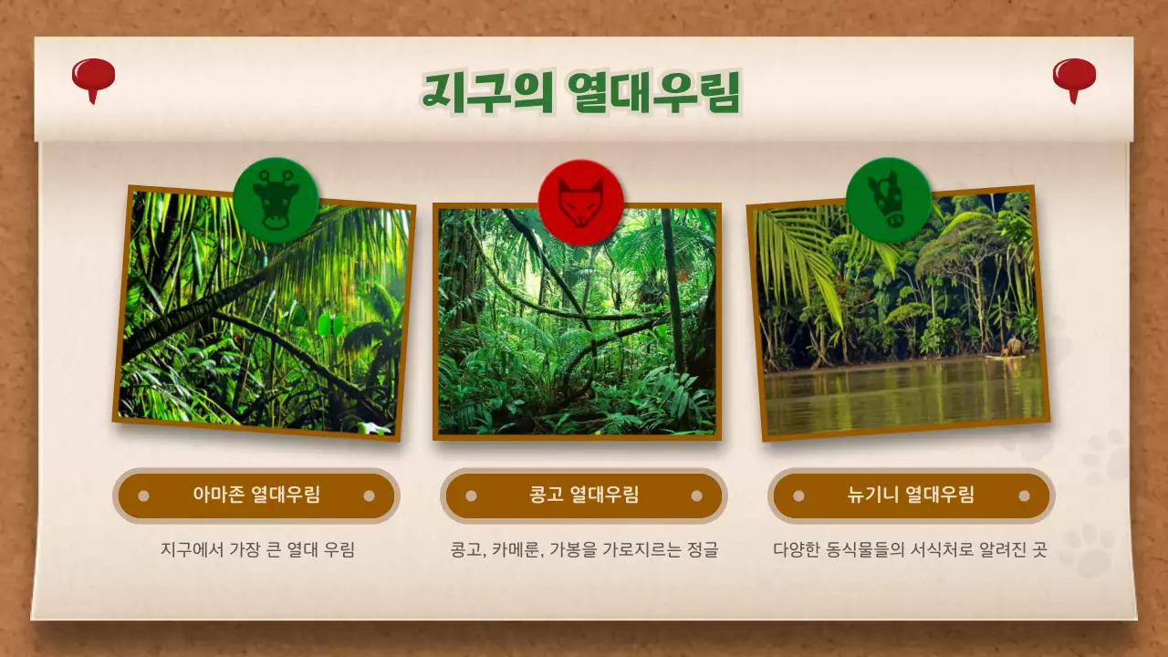 갈색과 초록색의 메모보드 컨셉 정글 이야기