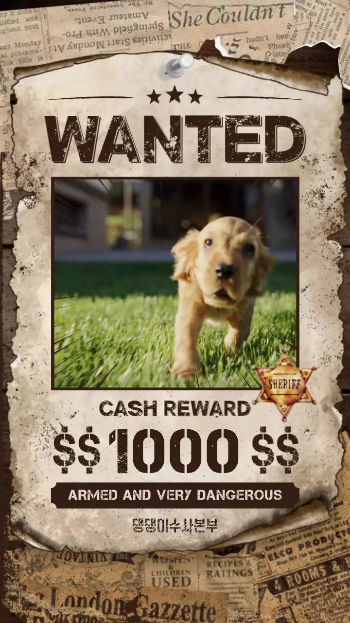 갈색의 빈티지한 강아지 현상수배 포스터