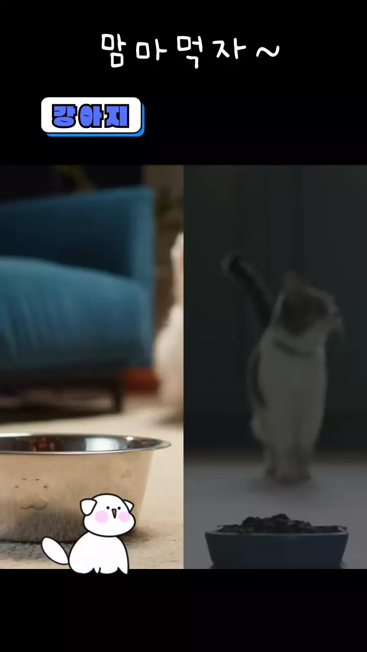 검정색의 귀여운 애완동물