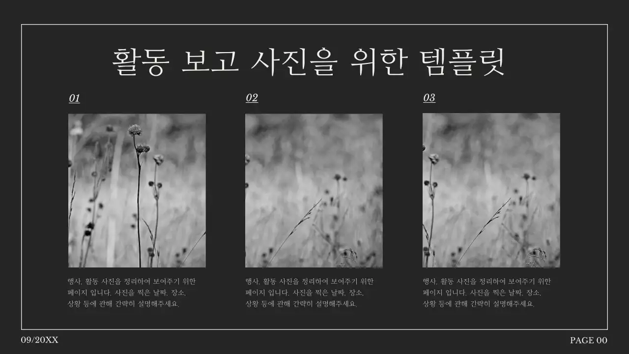 혹백의 단순한 사진 콜라주 제안서