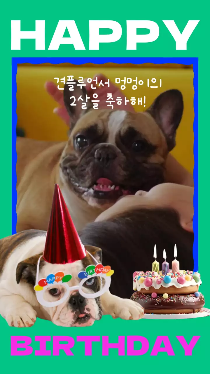 초록색과 알록달록한 배경의 생일을 맞이한 강아지의 생일을 축하하는 컨셉의 잡지커버
