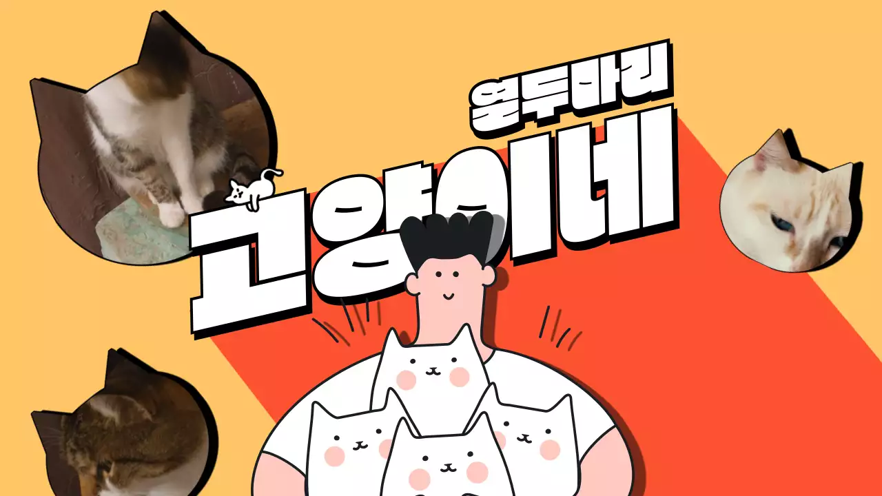 주황색의 귀여운 고양이네