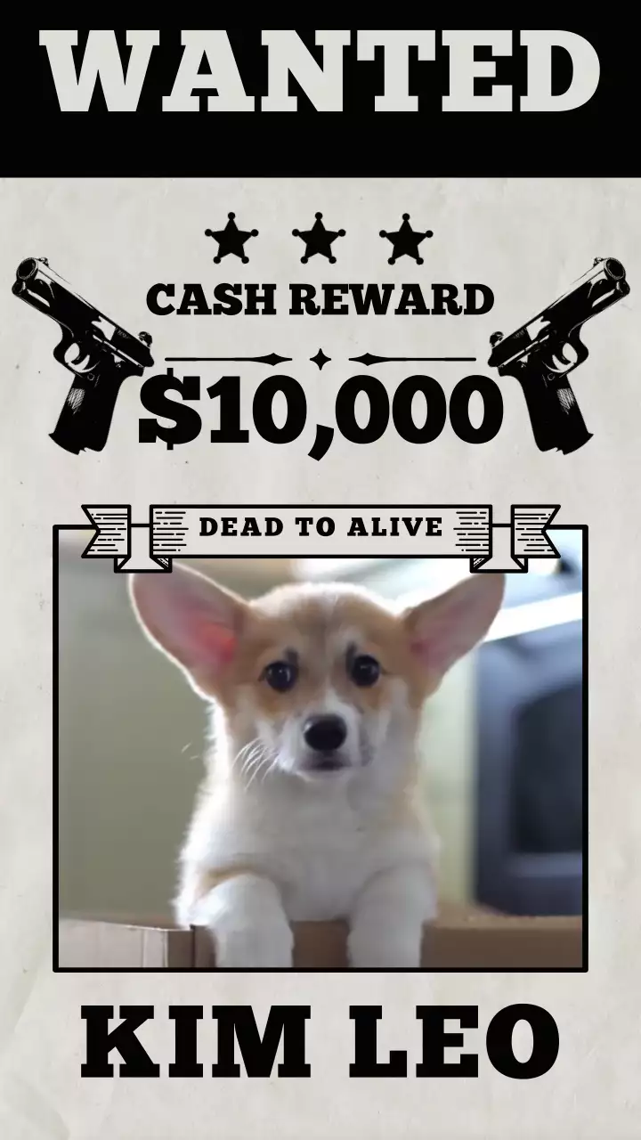 흑백의 빈티지 강아지 현상수배 포스터