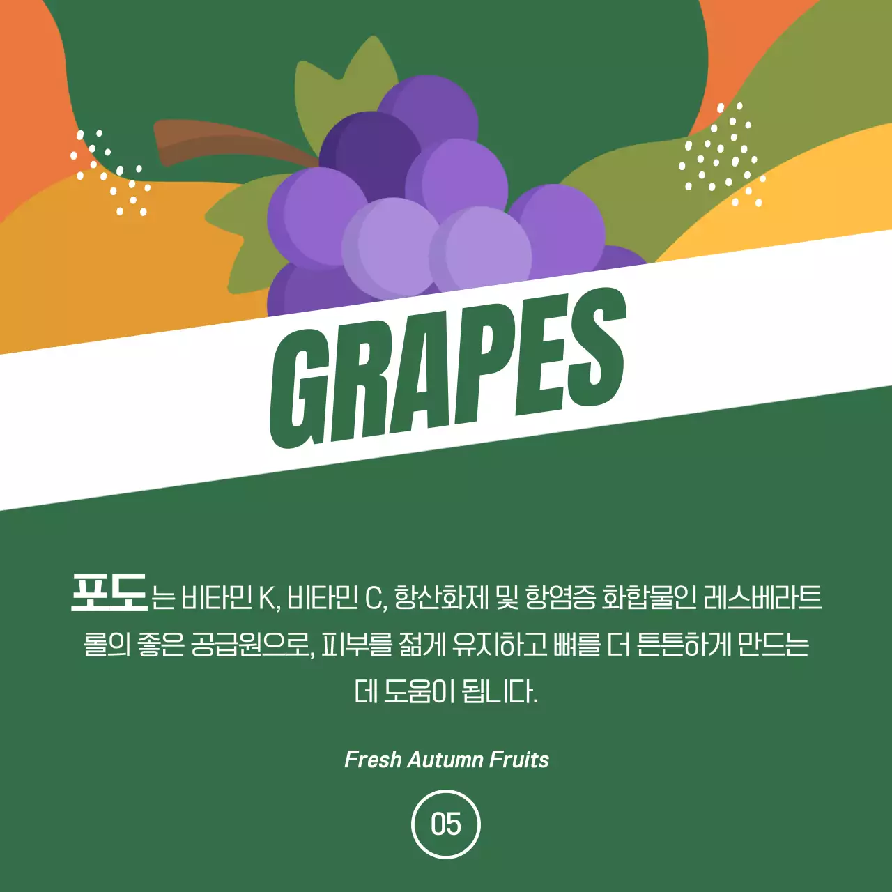 주황색과 초록색의 팝아트적인 제철과일 홍보