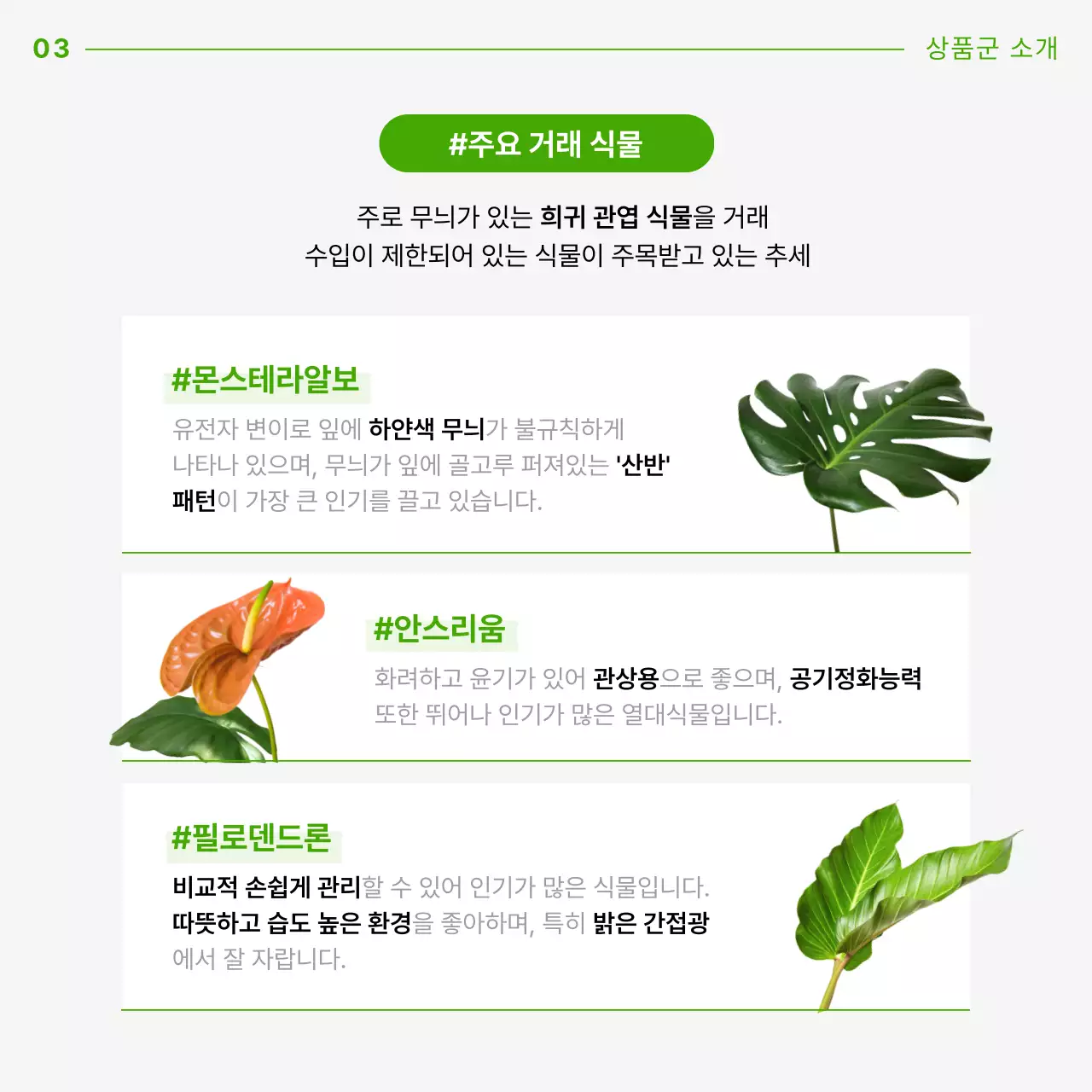 초록색 곡선을 활용한 깔끔한 식테크 안내서