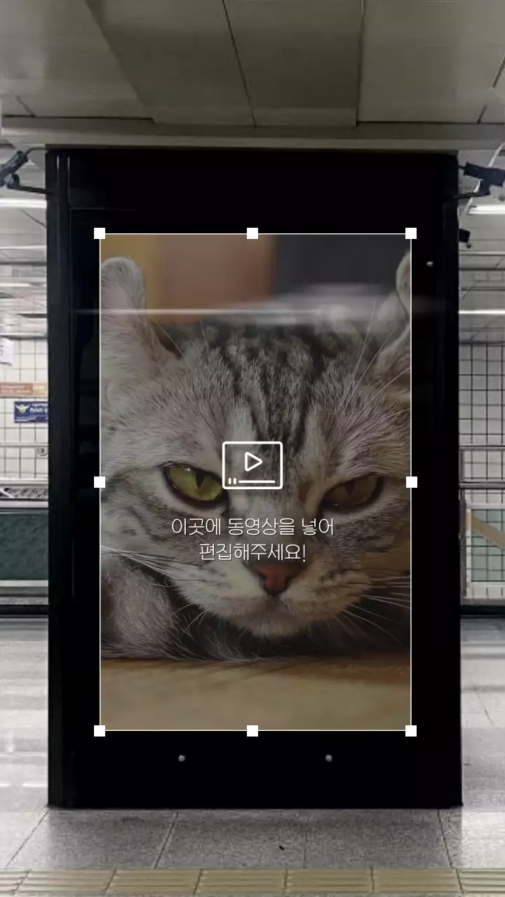 검정 프레임 심플한 지하철 고양이 광고판