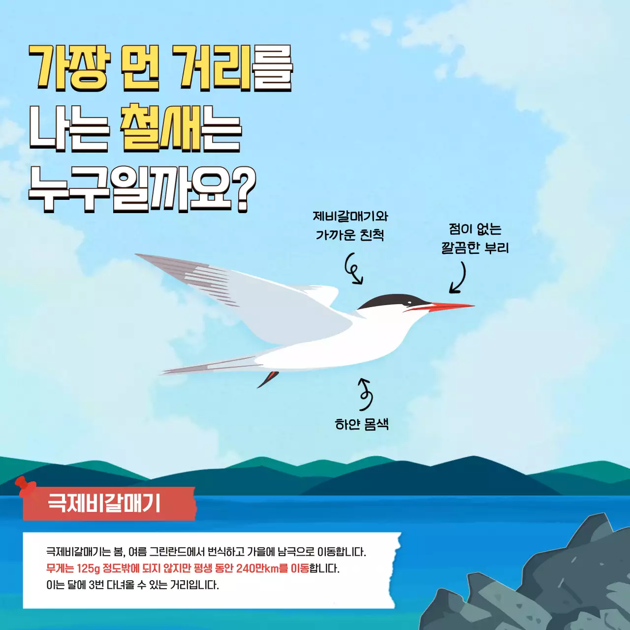 초록색과 하늘색의 트로피칼한 10월 세계 철새의 날 교육자료