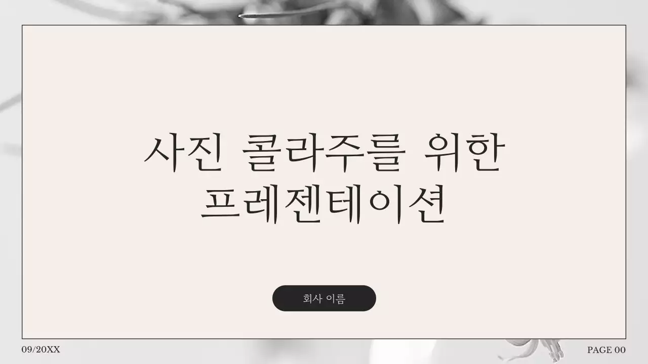 혹백의 단순한 사진 콜라주 제안서