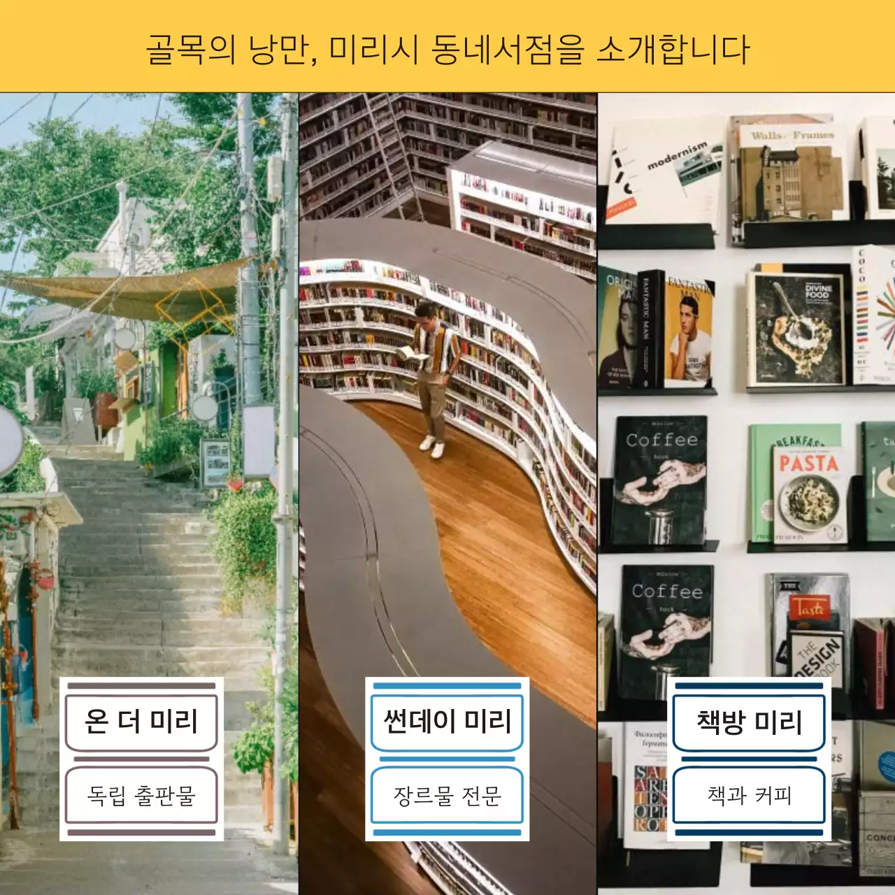 컬러풀 포인트와 라인이 들어간 서점 홍보