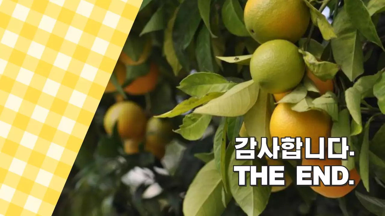 흰색과 노랑색의 트렌드한 사진 콜라주 제안서