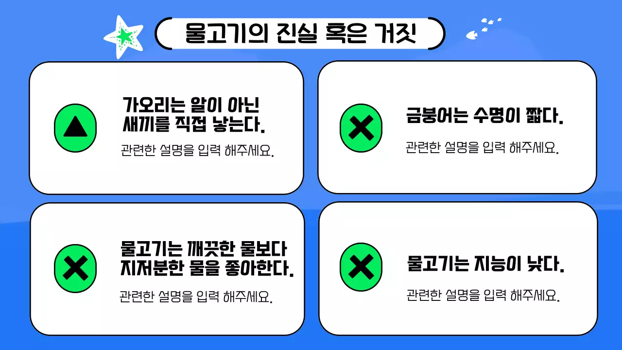 파랑과 연두색의 아기자기한 물고기 인포그래픽 제안서