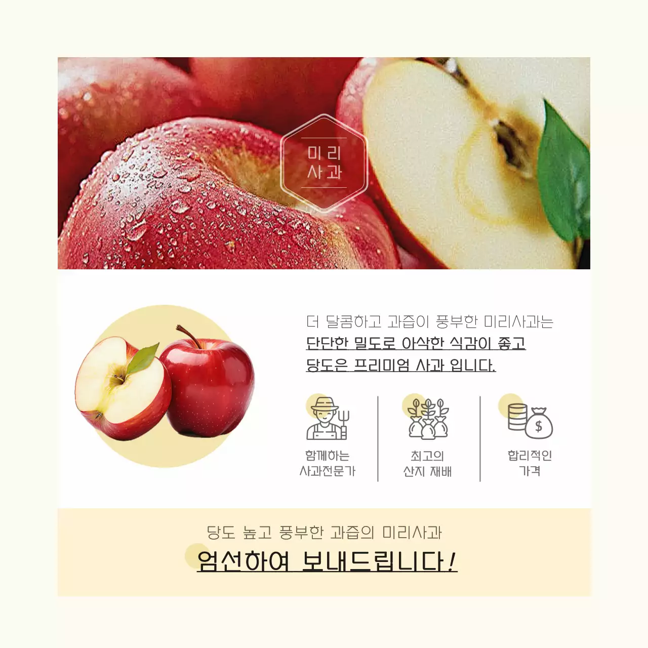 베이지 컬러에 옐로우 컬러로 포인트를 준 깔끔하고  심플한 사과 선물세트