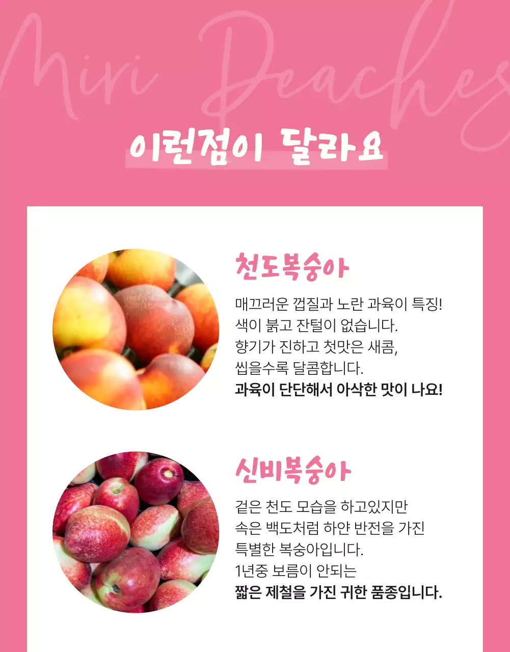 복숭아 농산물 식품 상세페이지