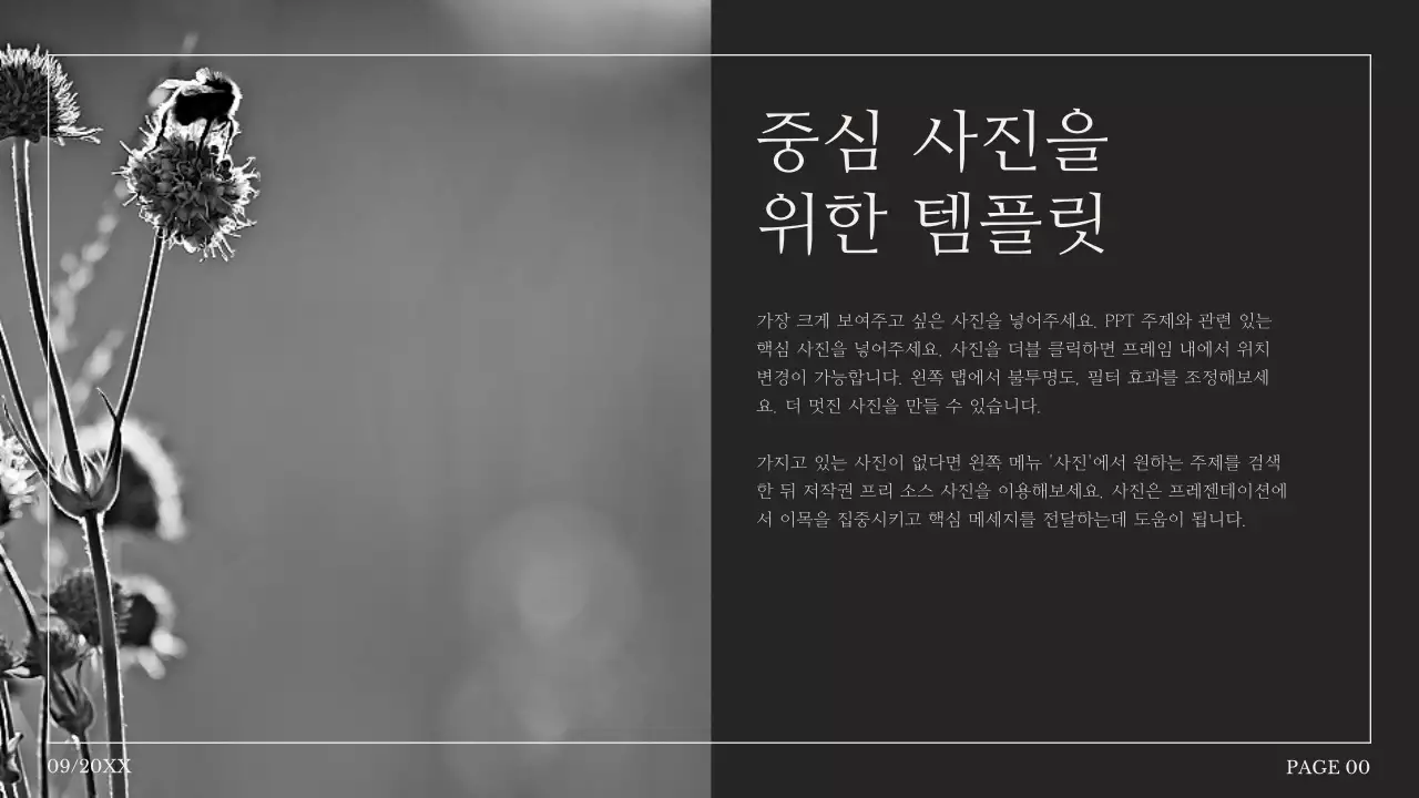 혹백의 단순한 사진 콜라주 제안서