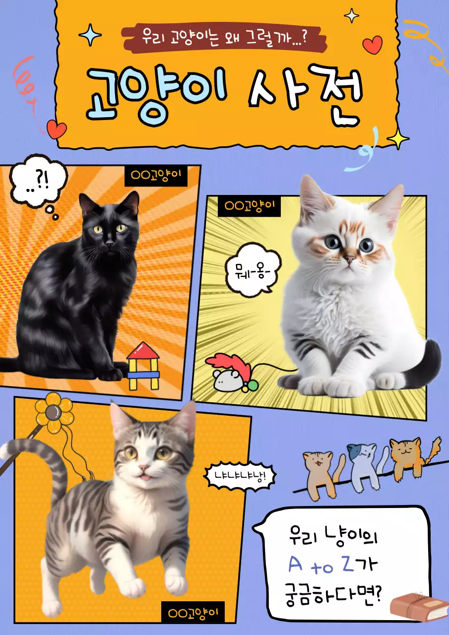 보라색과 주황색의 고양이 지식 홍보