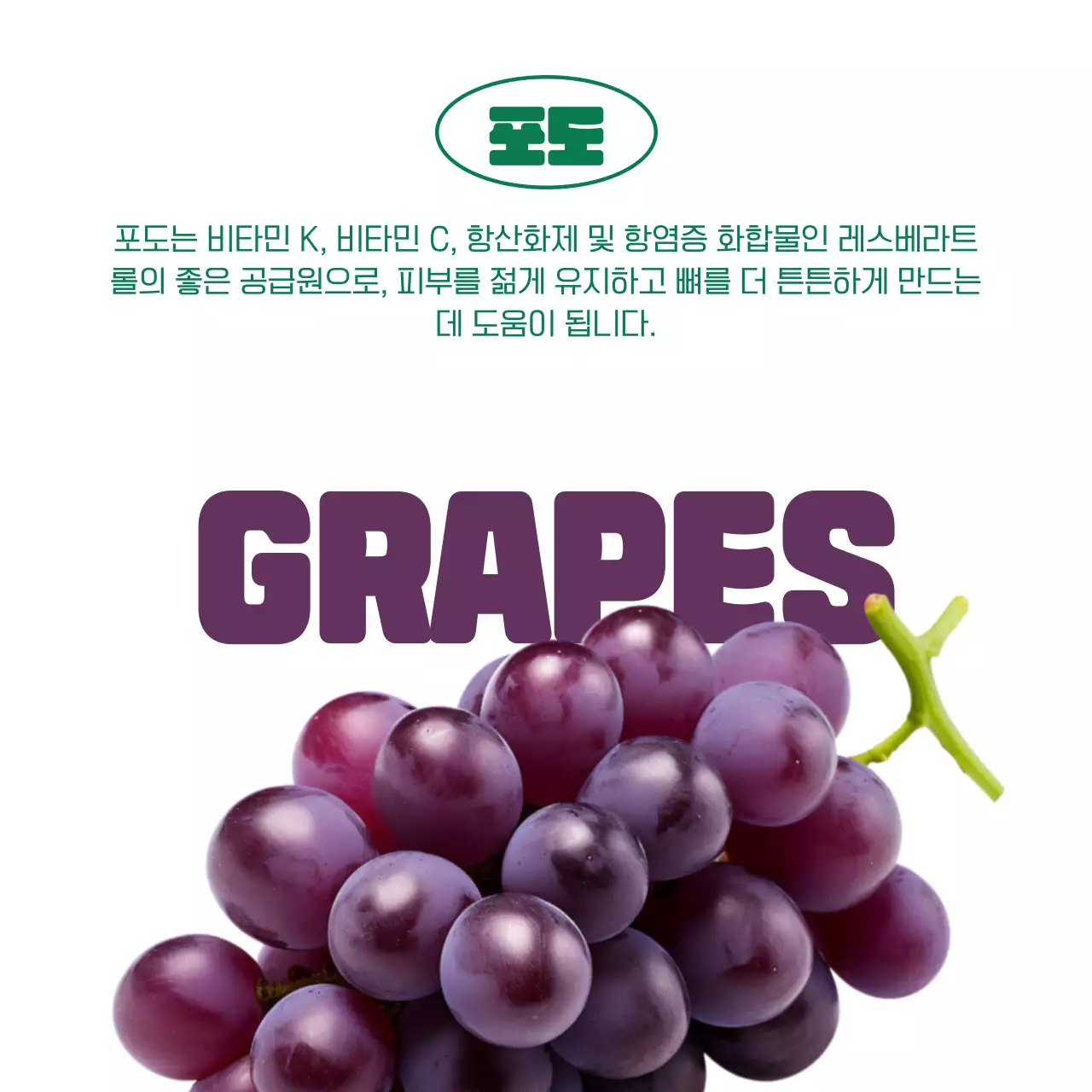 초록색의 심플한 제철과일 홍보