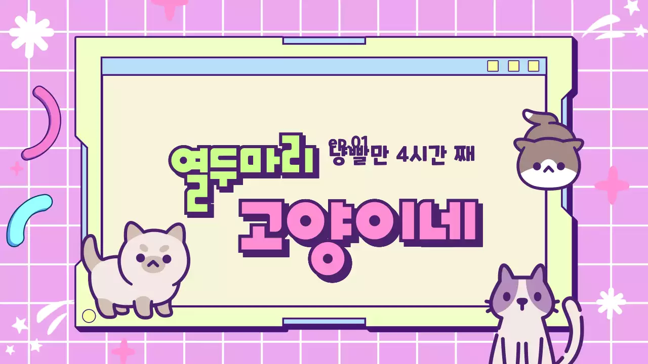 핑크 노랑 키치한 고양이 브이로그 오프닝