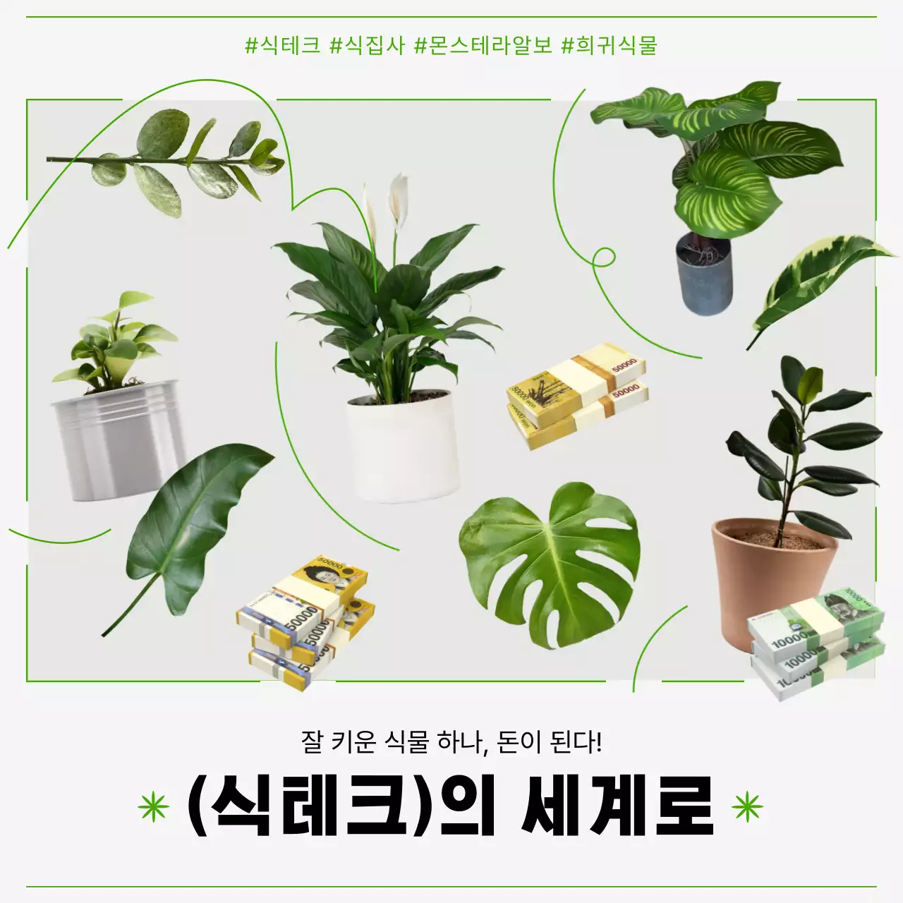 초록색 곡선을 활용한 깔끔한 식테크 안내서