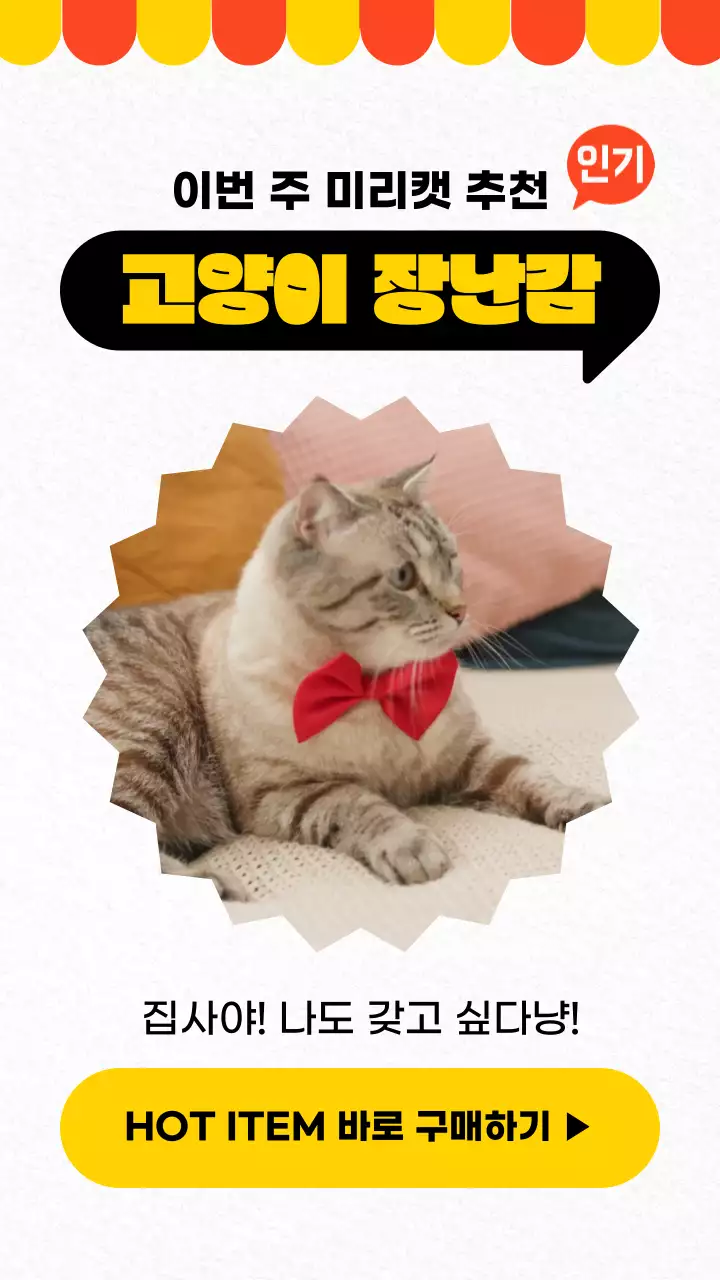 주황 노랑 컬러 포인트가 들어간 고양이 아이템 소개