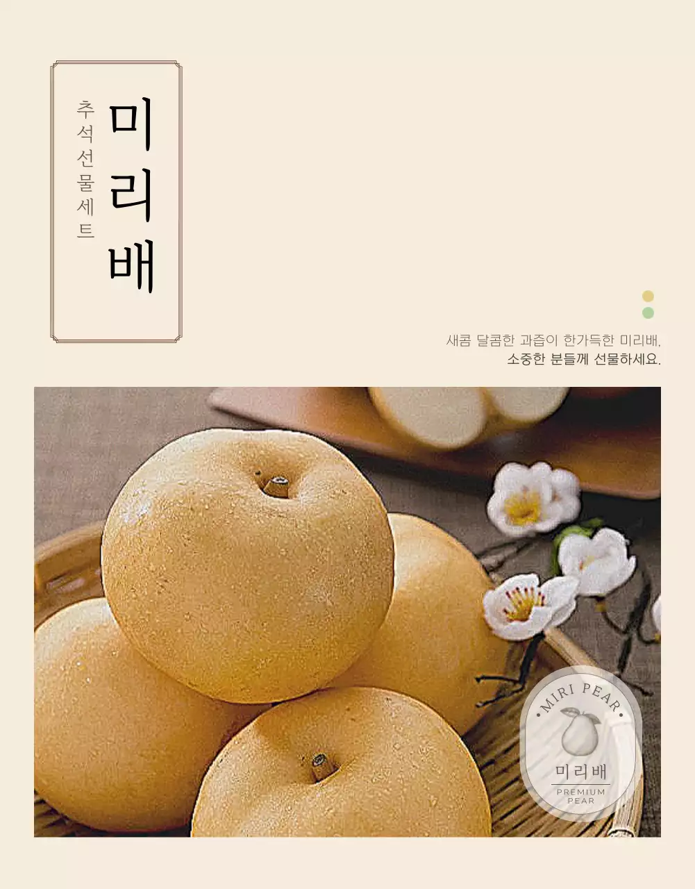 아이보리 컬러의 깔끔하고 심플한 배 추석 선물세트