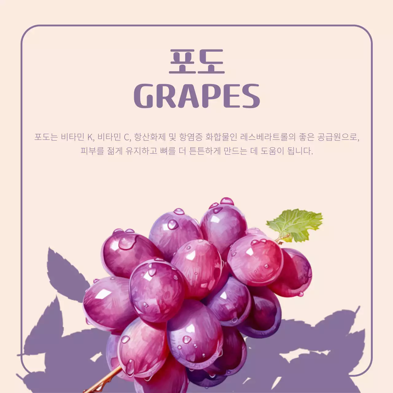 주황색과 베이지의 빈티지 제철과일 홍보