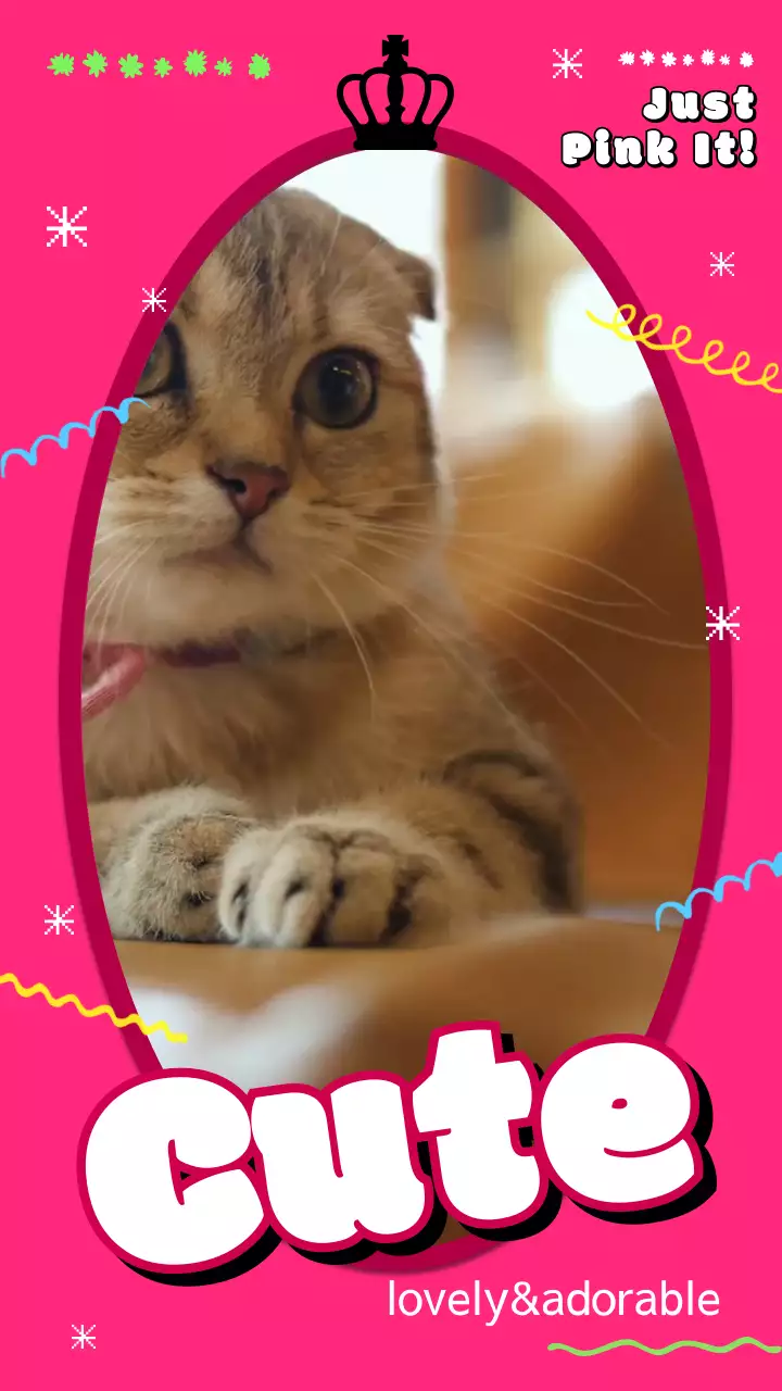 분홍색과 핑크색의 바비 프레임 인스타그램 스토리