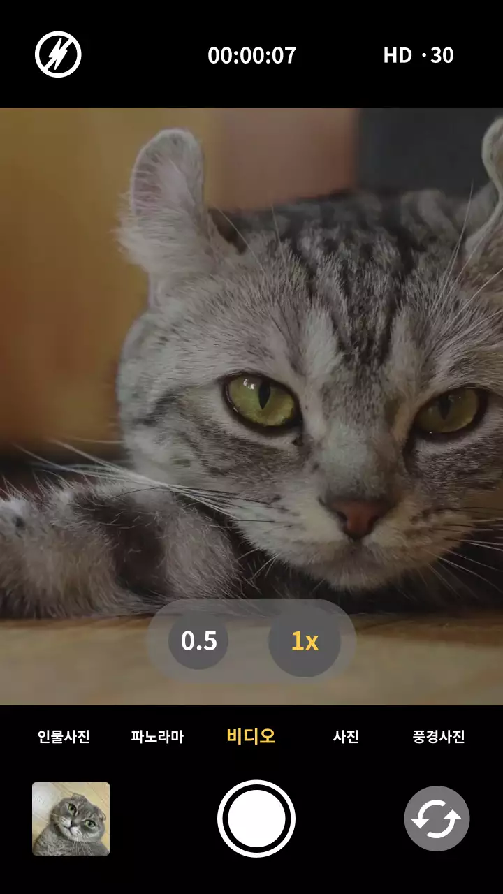 휴대폰 사진첩 갤러리 UI 컨셉의 반려동물