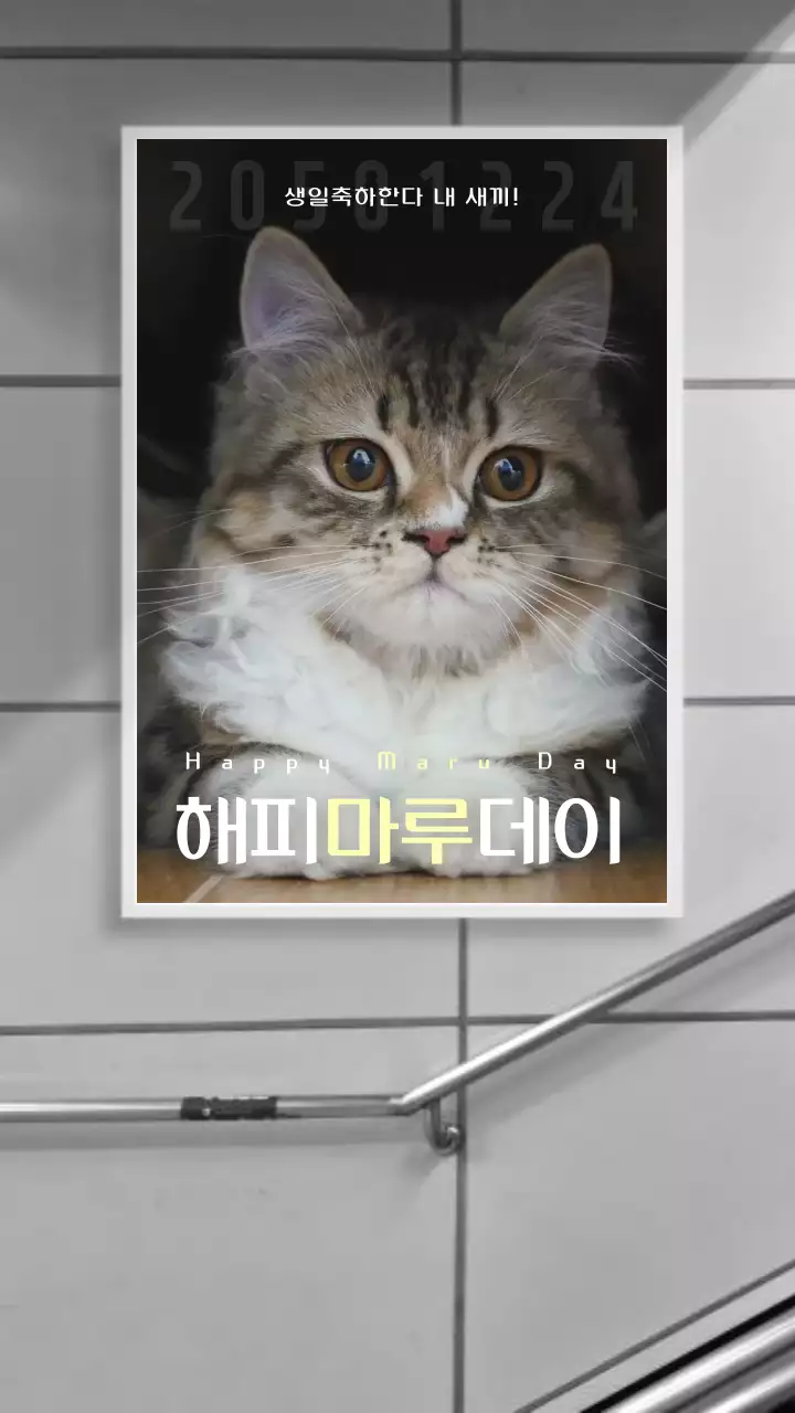 흰색 회색 키치한 고양이 생일 축하 지하철 광고